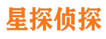 濠江侦探